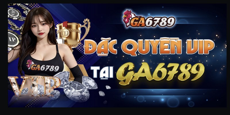 Chương trình VIP là đặc quyền dành cho thành viên cao cấp