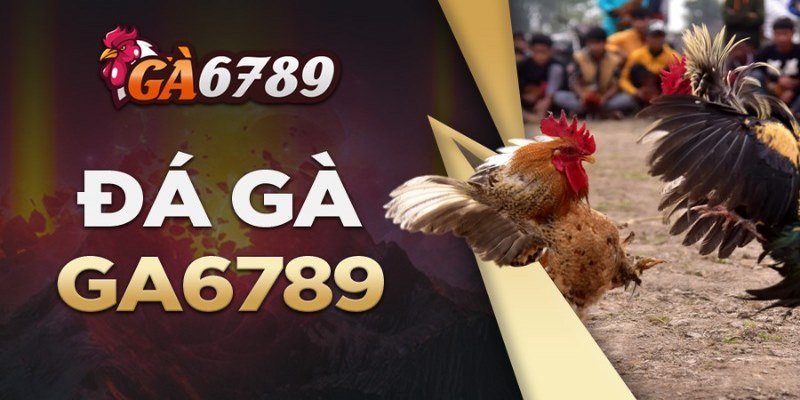 Lưu ý khi tải và cài đặt ứng dụng nhà cái Ga6789