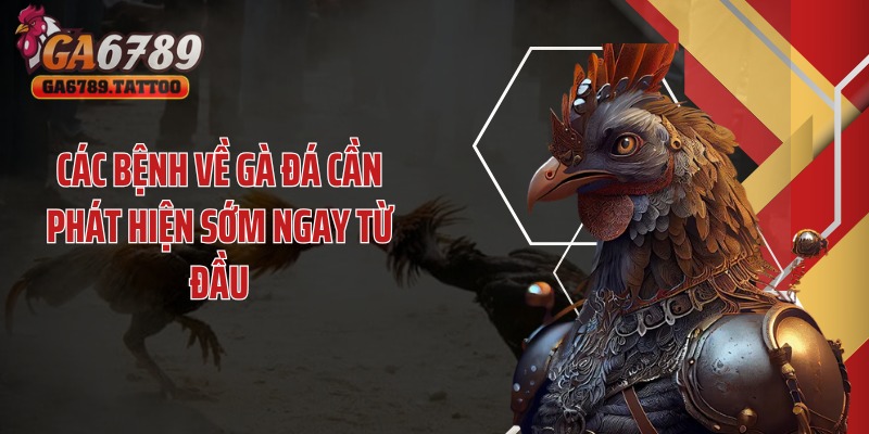 Các bệnh về gà đá cần phát hiện sớm ngay từ đầu