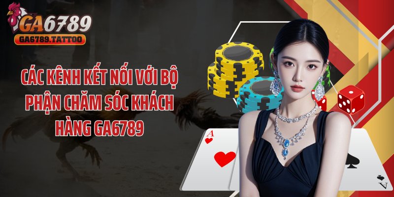 Các kênh kết nối với bộ phận chăm sóc khách hàng GA6789