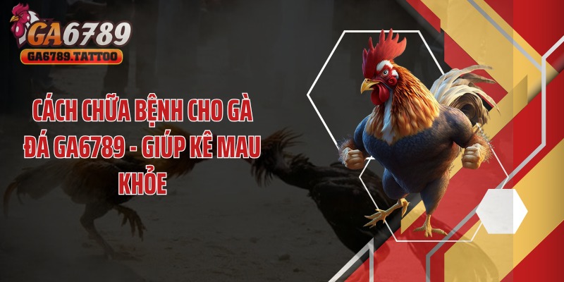 Cách Chữa Bệnh Cho Gà Đá GA6789 - Giúp Kê Mau Khỏe