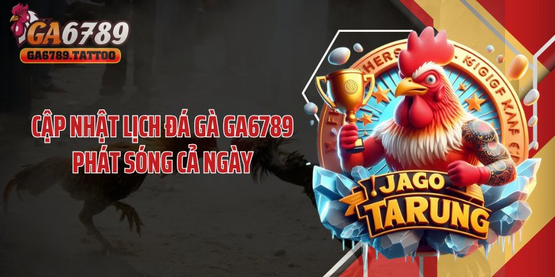 Cập nhật lịch đá gà GA6789 phát sóng cả ngày