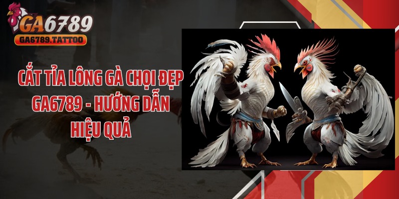Cắt tỉa lông gà chọi đẹp GA6789 - Hướng dẫn hiệu quả