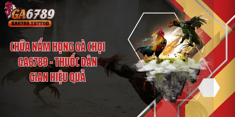 Mẹo Chăm Sóc Gà Chiến GA6789 - Bí Kíp Tạo Chiến Kê Bất Bại