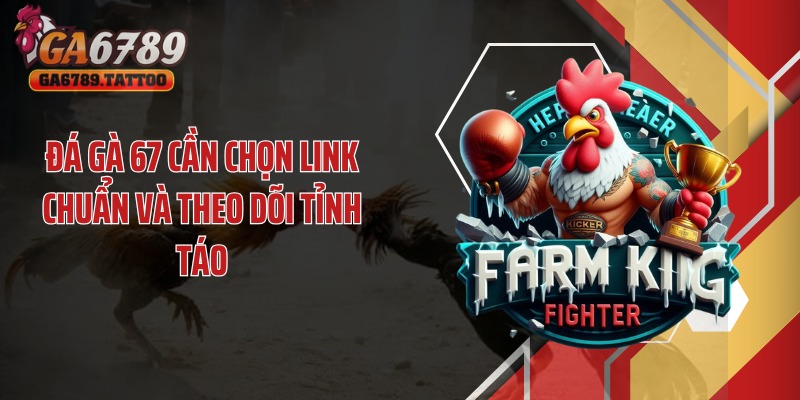 Đá gà 67 cần chọn link chuẩn và theo dõi tỉnh táo