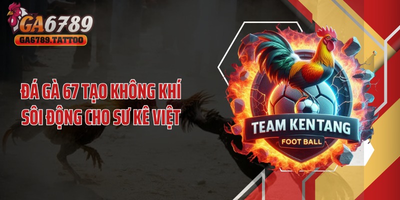 Đá gà 67 tạo không khí sôi động cho sư kê Việt