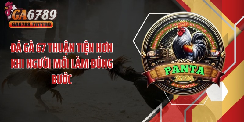 Đá gà 67 thuận tiện hơn khi người mới làm đúng bước