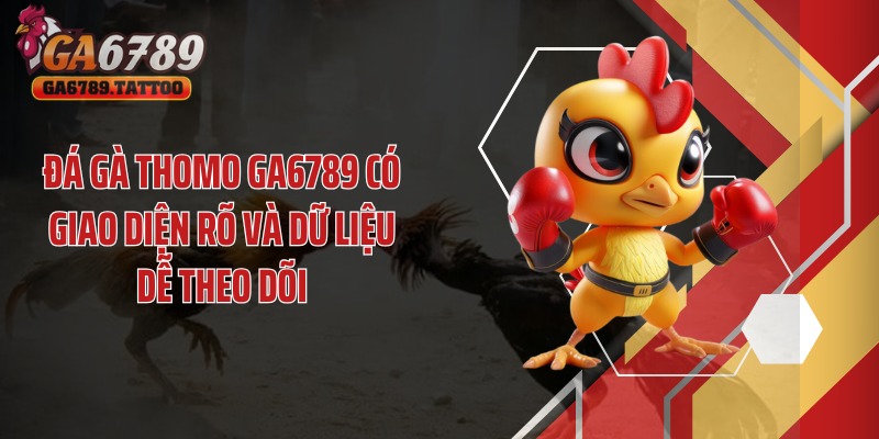 Đá gà thomo GA6789 có giao diện rõ và dữ liệu dễ theo dõi