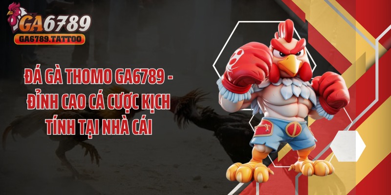 Đá Gà Thomo GA6789 - Đỉnh Cao Cá Cược Kịch Tính Tại Nhà Cái