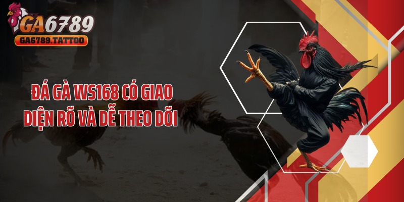 Đá gà WS168 có giao diện rõ và dễ theo dõi 
