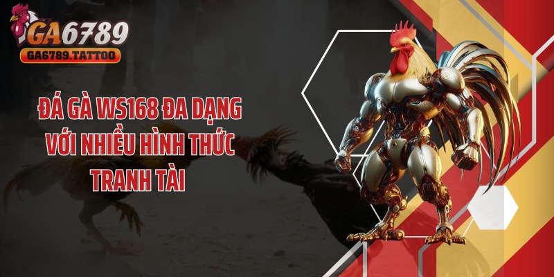 Đá gà WS168 đa dạng với nhiều hình thức tranh tài 