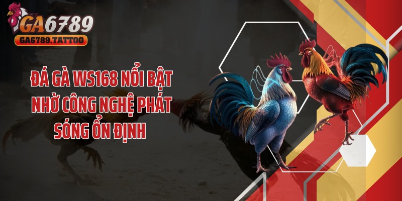 Đá gà WS168 nổi bật nhờ công nghệ phát sóng ổn định 