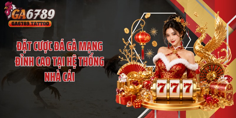 Đặt cược đá gà mạng đỉnh cao tại hệ thống nhà cái