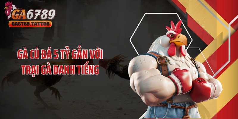 Gà cú đá 5 tỷ gắn với trại gà danh tiếng