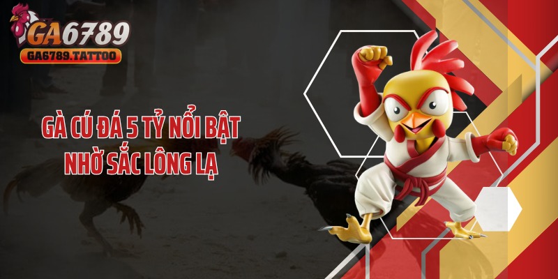 Gà cú đá 5 tỷ nổi bật nhờ sắc lông lạ