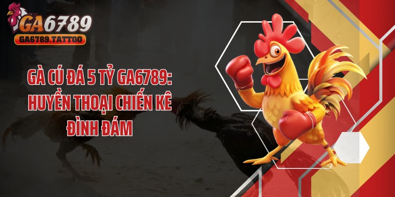 Gà Cú Đá 5 Tỷ GA6789: Huyền Thoại Chiến Kê Đình Đám