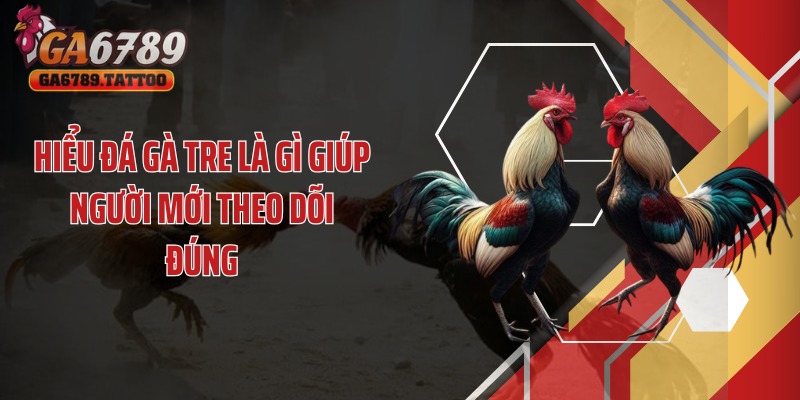 Hiểu đá gà tre là gì giúp người mới theo dõi đúng