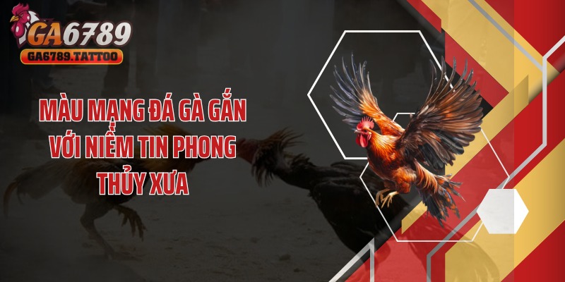 Màu mạng đá gà gắn với niềm tin phong thủy xưa