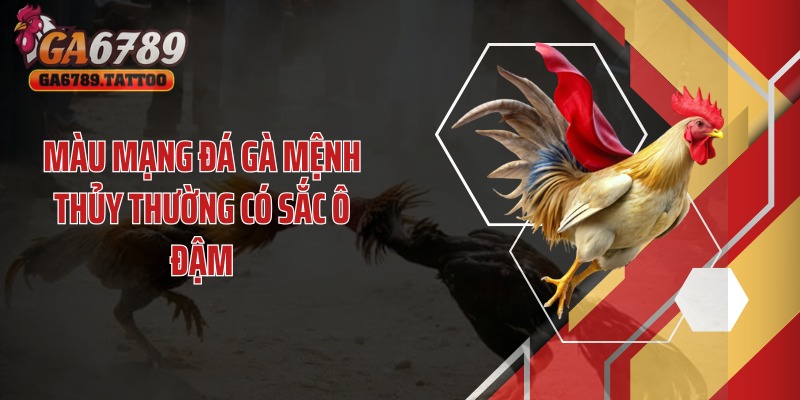 Màu mạng đá gà mệnh Thủy thường có sắc ô đậm