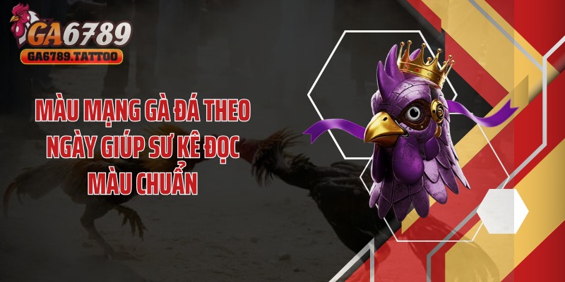 Màu mạng gà đá theo ngày giúp sư kê đọc màu chuẩn