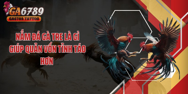 Nắm đá gà tre là gì giúp quản vốn tỉnh táo hơn 