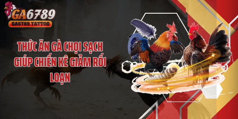 Thức ăn gà chọi sạch giúp chiến kê giảm rối loạn
