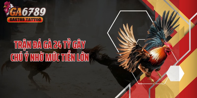 Trận đá gà 24 tỷ gây chú ý nhờ mức tiền lớn